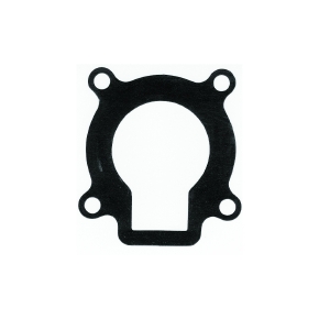 Sierra Water Pump Gasket 18-0459