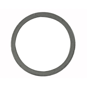 Sierra Rondelle pour boîtier de pompe à eau - 18-9078